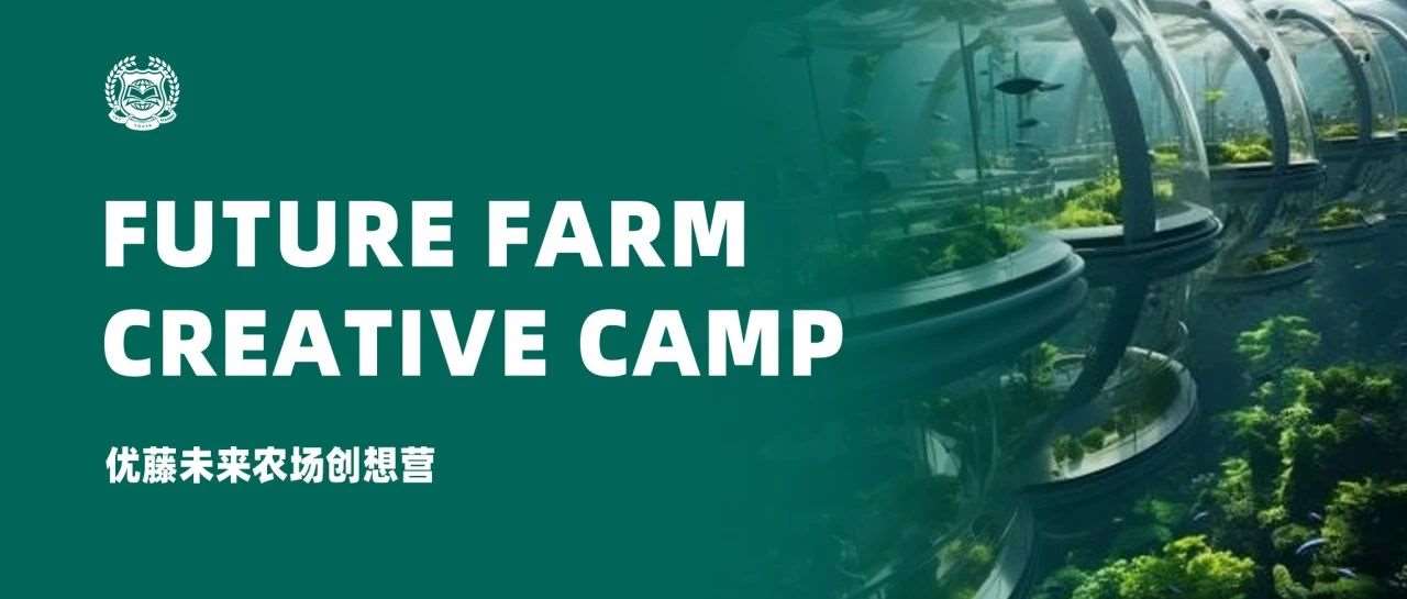 优藤未来农场创想营 | 了解国际教育体系，解锁多元升学路径